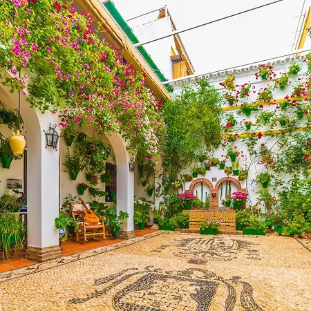 Appartement Moderno Junto A Estacion De Tren Cordoue